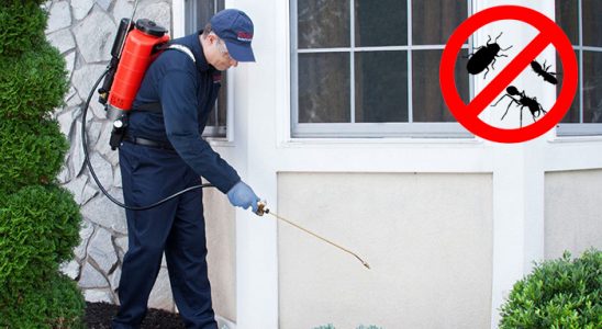 Söğüt Böcek ve Haşere İlaçlama böcek ilaçlama ve haşere kontrolü — ilaclama-tr.com